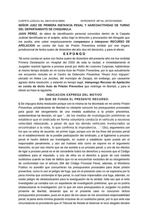 3 Modelo de Recurso DE Apelación auto prisión preventiva Derecho