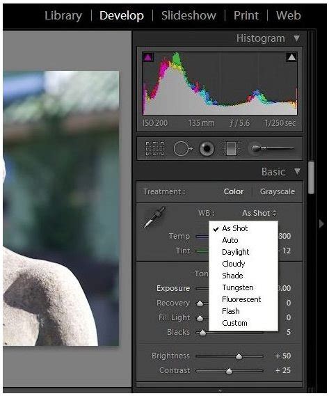 Using Raw With Adobe Lightroom Quick Easy Way To Understand Raw