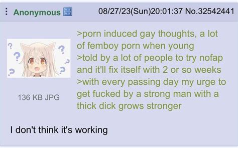 Anon Is Real And Gay R Greentext Greentext Stories Know Your Meme