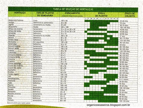 Orgânicos Caseiros Tabela De Hortaliças Quando Plantar E Colher