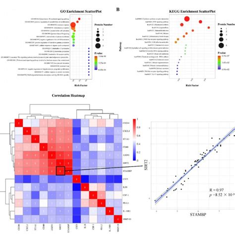 Functional Enrichment Analysis And Correlation Analysis Of Deps A Download Scientific