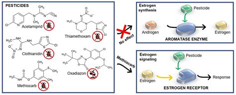 Ijerph Free Full Text Assessment Of Five Pesticides As Endocrine