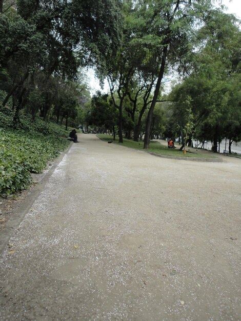 Premium Photo | Park in the city of santiago chile