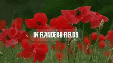 In Flanders Field ELT Buzz Video Lessons