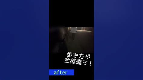 ピットブル 犬のしつけ 散歩バージョン 自己流。before→after Youtube