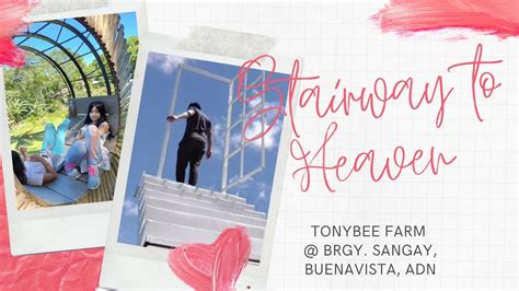 Tonybee Farm 2021stairway To Heavenbuenavista Agusan Del Nortetravel