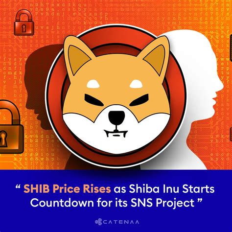 Shib Price Soars As Shiba Inus Sns Countdown Sparks Surge