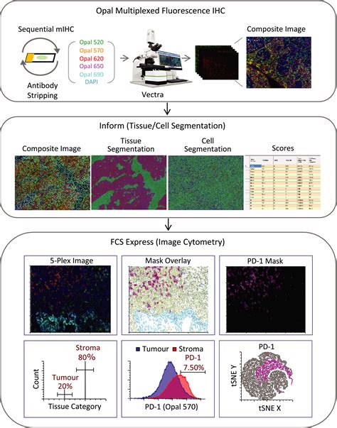 Immune Contexture Analysis In Immunooncology Applications And