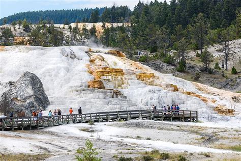 Mammoth Hot Springs - WorldAtlas