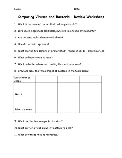 Comparing Viruses And Bacteria Review Worksheet 1 — Db