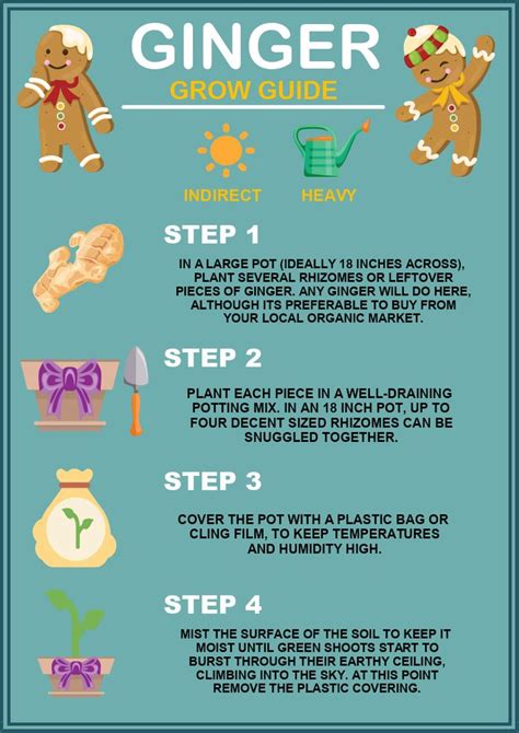 Ginger Grow Guide Infographic Infographic Templates Infographic