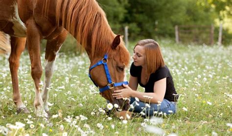 Een Band Opbouwen Met Je Nieuwe Paard Zo Doe Je Dat Het