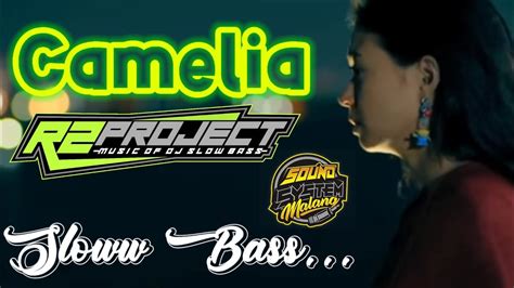 Slow Bass Camelia By R2 Project Spesial Akhir Tahun Cover Irwansyah