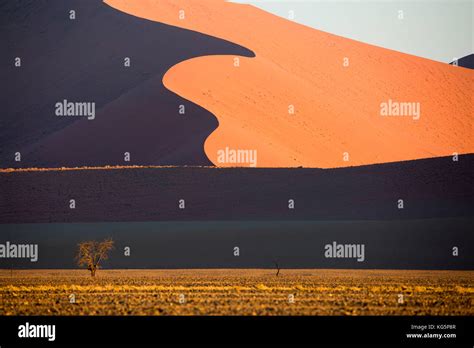 Namib desert, sand dunes. Namibia, Africa Stock Photo - Alamy