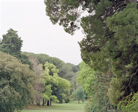 Caserta Eredi Luigi Ghirri Patrimonio Culturale