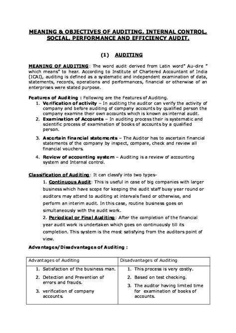 Doc Meaning And Objectives Of Auditing Internal Control Social Performance And Efficiency