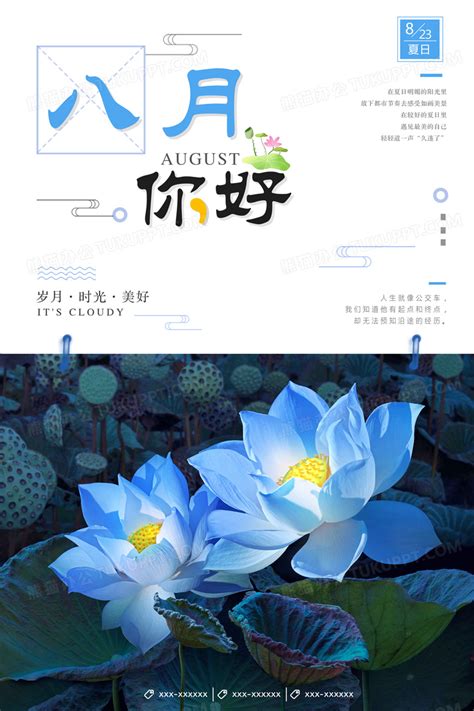 小清新简约文艺你好8月创意海报设计图片下载psd格式素材熊猫办公