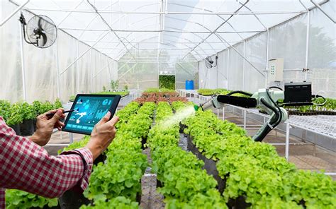 Pertanian Modern Dengan Smart Farming Dinas Tanaman Pangan Dan