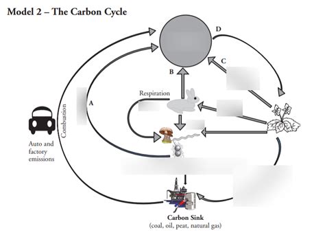 Carbon Cycle Diagram Nitrogen Cycle Diagram Natural Phosphorus Cycle Diagram Bio 37 Diagram