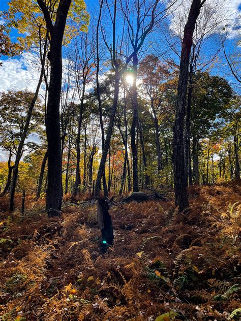 Shawangunk Ridge State Forest: An Awesome Hike You Must Do in New York