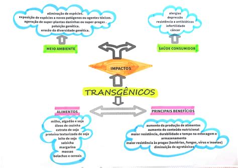 Mapa Conceptual Mapa Mental Alimentos Transgenicos Info Nusantara The