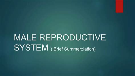 Male Reproductive System Ppt