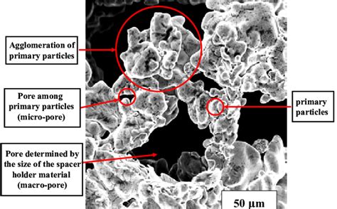 Sem Micrograph Showing Macro Pores And Micro Pores In The Ti Sn Nb