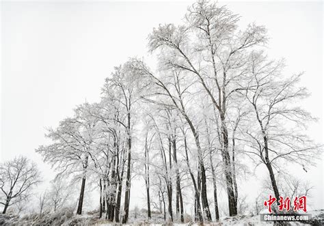 欧洲时报欧时网 欧时大参 初春雾凇展冰雪画卷