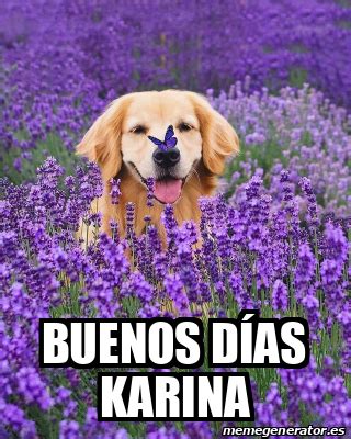 Meme Personalizado Buenos días karina 32509720