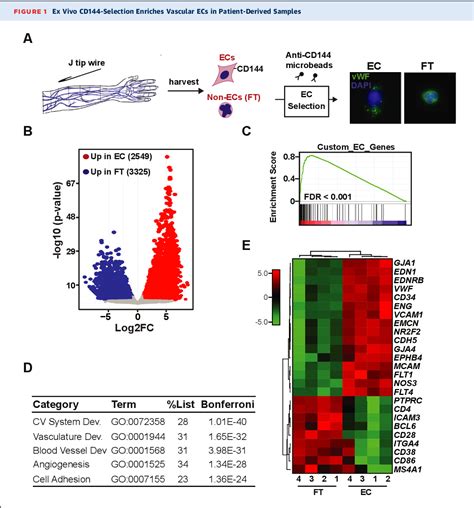 Figure From Comparative Transcriptomics Of Ex Vivo Patient Derived