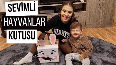 Sevİmlİ Hayvanlar Kutusu Yaptik Hayvanlari Besledİk Youtube