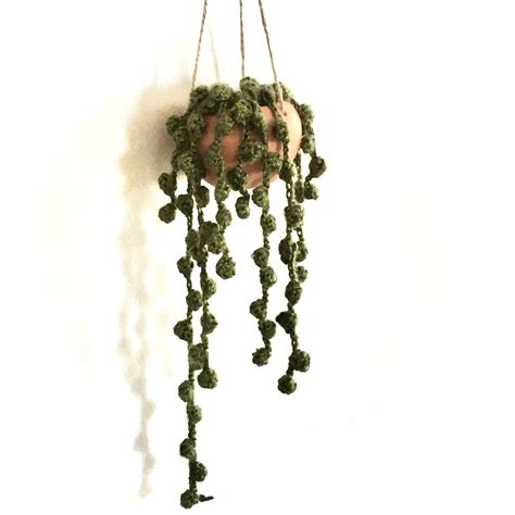 Hanging Crochet String Of Pearls Succulent Etsy