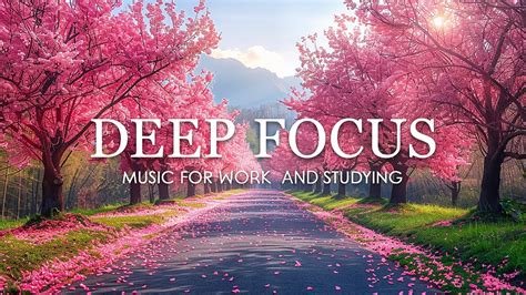 Deep Focus Music To Improve Concentration Hours Of Ambient Study