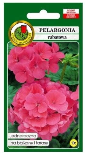 Pelargonia rabatowa różowa nasiona Pnos ogrodnik24 pl