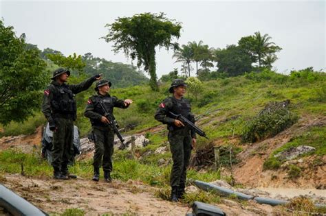 Semas Par Registra De Redu O Em Alertas De Desmatamento Em