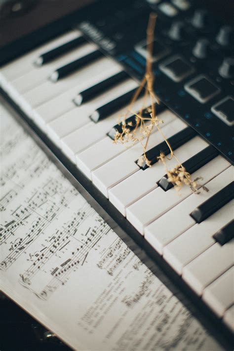 Musical Notes on Piano Keys · Free Stock Photo