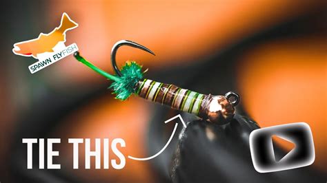 Simple Peeping Caddis Fly Tying Tutorial YouTube