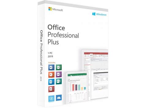 Microsoft Office 2019 Professional Plus PC BOX - 12487951174 ...