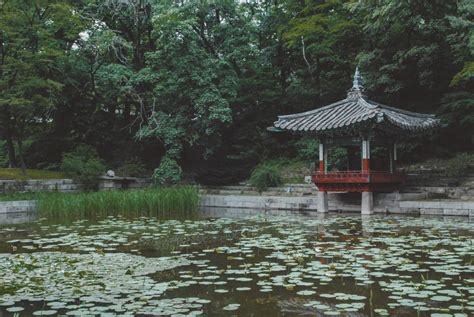 Changdeokgung Palace and its Secret Garden - There She Goes Again