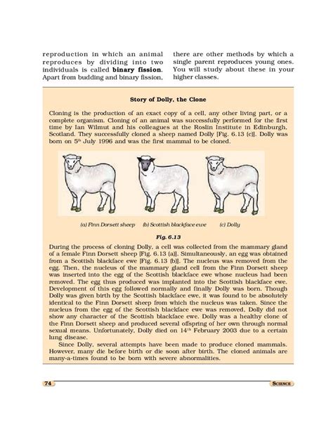 Ncert Book Class 8 Science Chapter 6 Reproduction In Animals Pdf