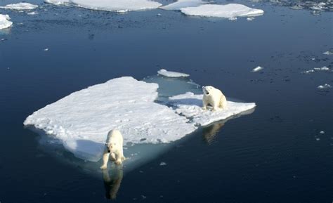 Réchauffement climatique Les océans absorbent de plus en plus de