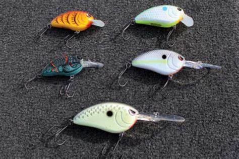 5 Best Baits For Pre Spawn Bass Game Fish