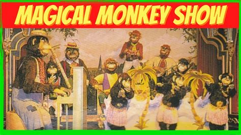 Avonturenpark Hellendoorn Magical Monkey Show Youtube