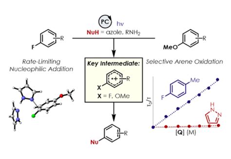 Nucleophilic Aromatic Substitution Mechanism