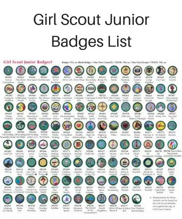 👧 Girl Scout Junior Badges - Complete List Of Every Badge (JUNIORS)