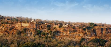 Ranthambore National Park, Best of Wildlife in Ranthambore National Park