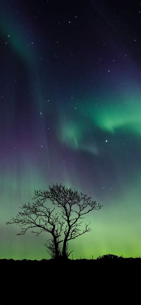 how to see northern lights with phone 16