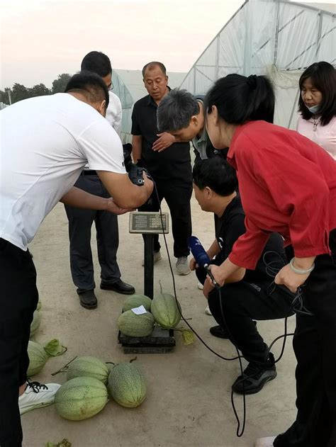 “设施蜜瓜优质高效轻简化栽培技术示范” 现场鉴评会在兰考召开 园艺所