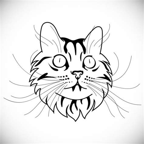 Confused Cat Clipart Drawing