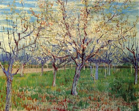 Orchard With Blossoming Trees Painting By Vincent Van Gogh Fine Art